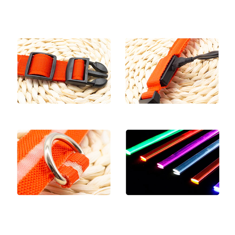 Colar de Led para Pets